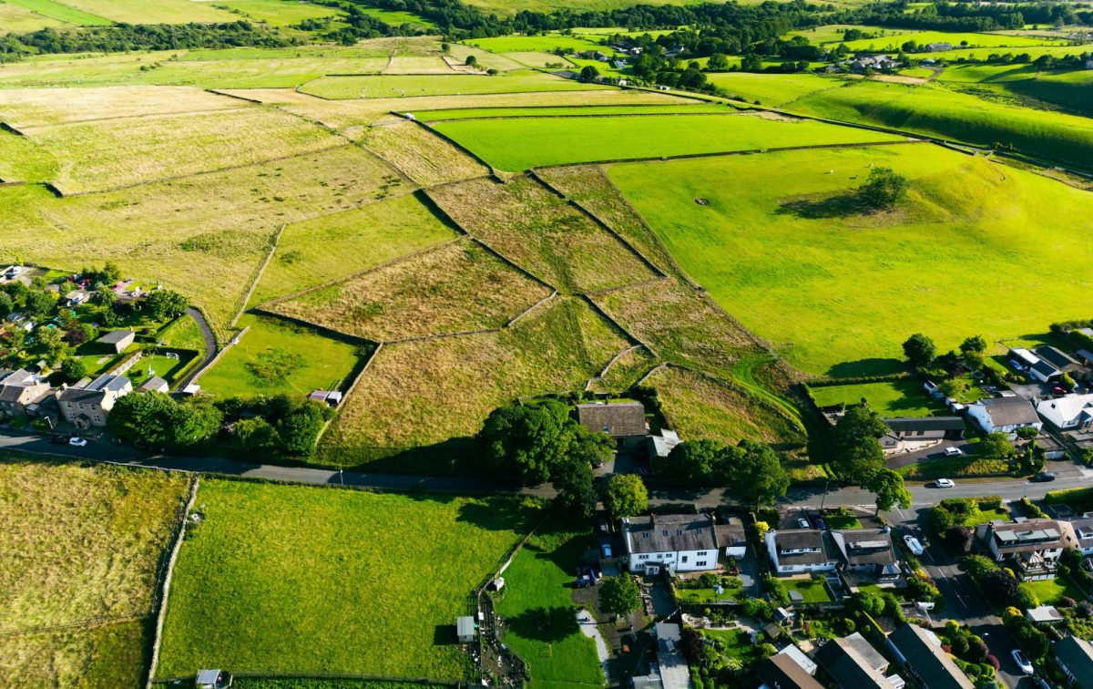 Halifax Road, Briercliffe • Sally Harrison
