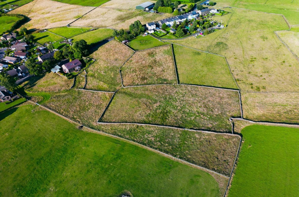 Halifax Road, Briercliffe • Sally Harrison